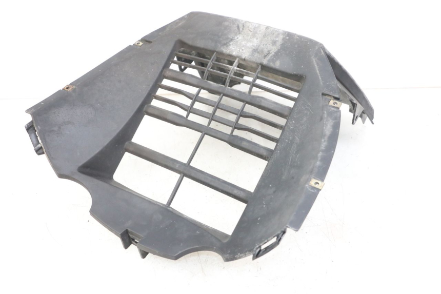 photo de Radiator grille KYMCO XCITING 250 (2006 - 2009) - Main view