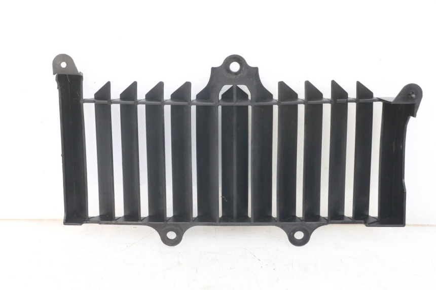 photo de RADIATOR GRILLE YAMAHA XT X 660 (2004 - 2016) - Surface and material condition