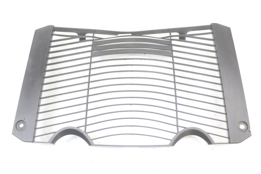 photo de RADIATOR COVER YAMAHA FZ1 FAZER 1000 (2007 - 2009) - Main view