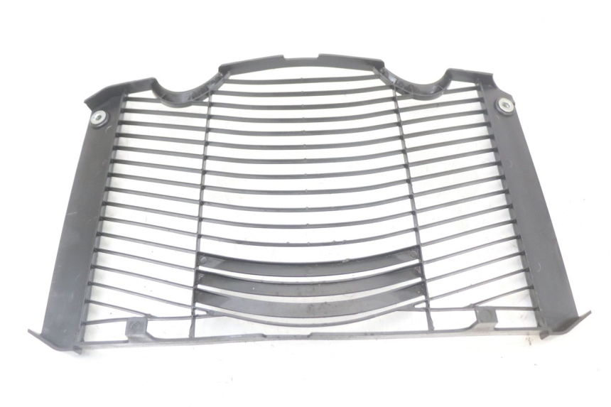 photo de RADIATOR COVER YAMAHA FZ1 FAZER 1000 (2007 - 2009) - Alternative perspective