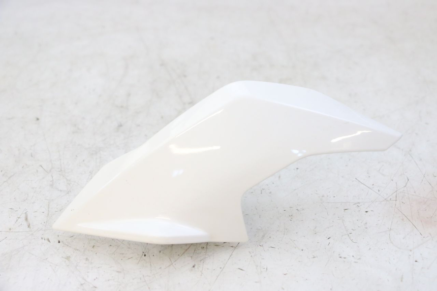 photo de LEFT INNER FRONT FAIRING BMW G310 R 310 (2016 - 2020) - Main view