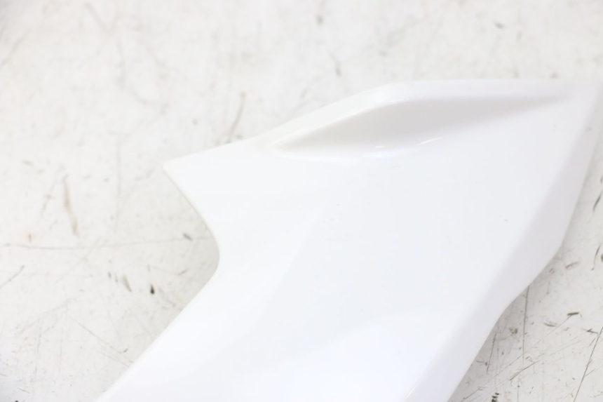 photo de LEFT INNER FRONT FAIRING BMW G310 R 310 (2016 - 2020) - Technical close-up