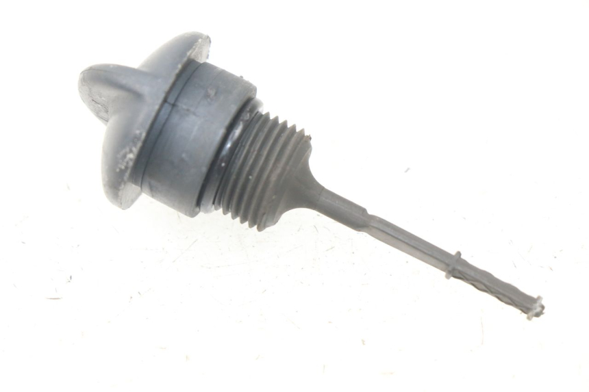 photo de ENGINE OIL DIPSTICK PIAGGIO X9 125 (2000 - 2003) - Main view