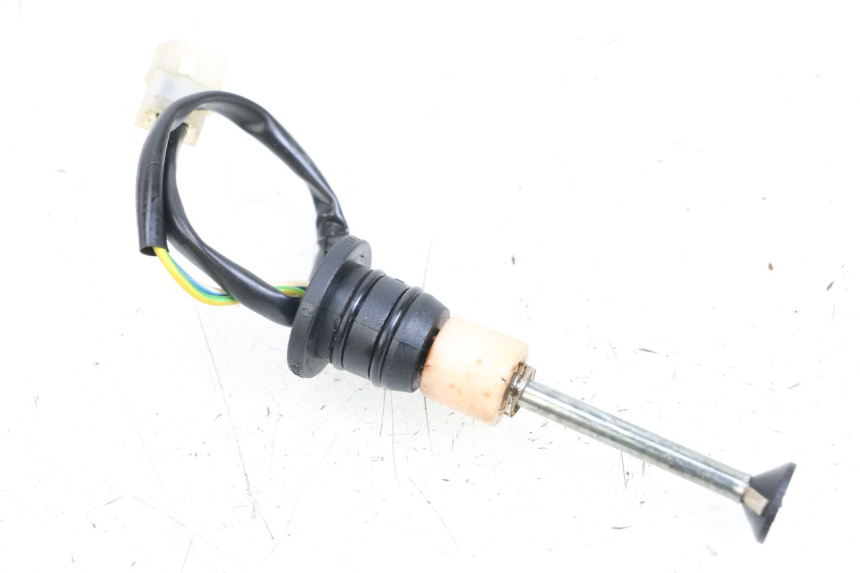 photo de OIL TANK LEVEL APRILIA RS 50 (2006 - 2010) - Main view