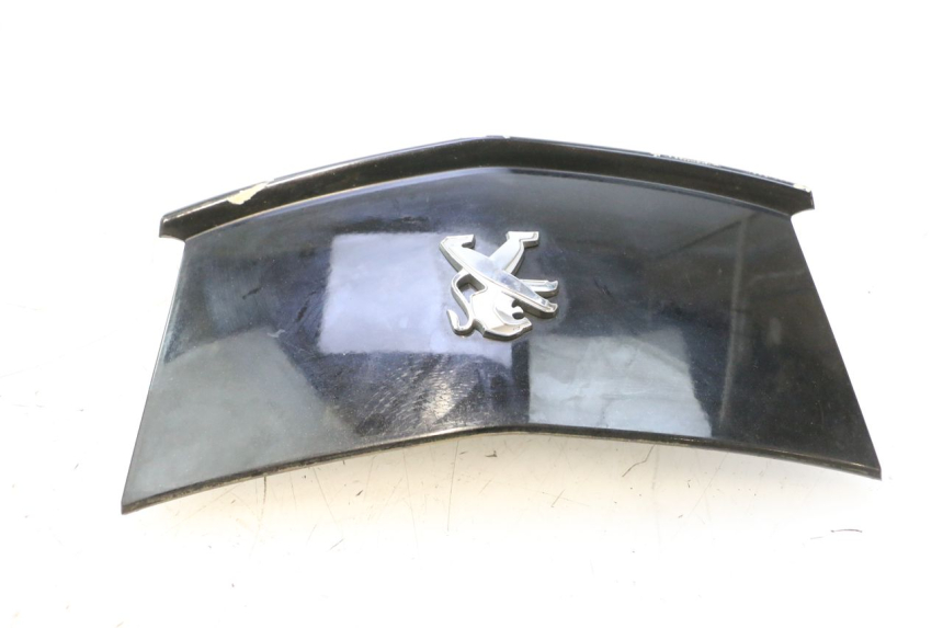 photo de REAR MIDDLE PANEL PEUGEOT CITYSTAR 2T 50 (2018 - 2021) - Technical close-up