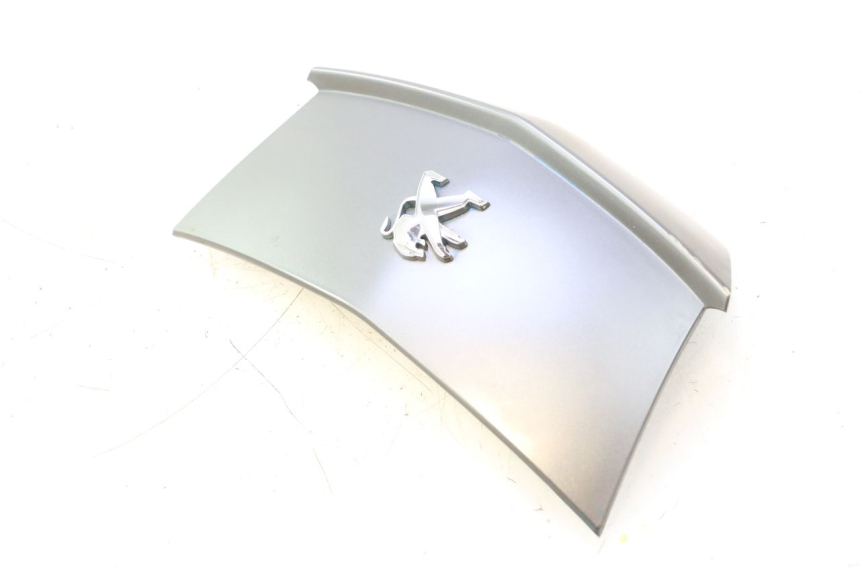 photo de REAR MIDDLE PANEL PEUGEOT CITYSTAR 2T 50 (2018 - 2021) - Component detail