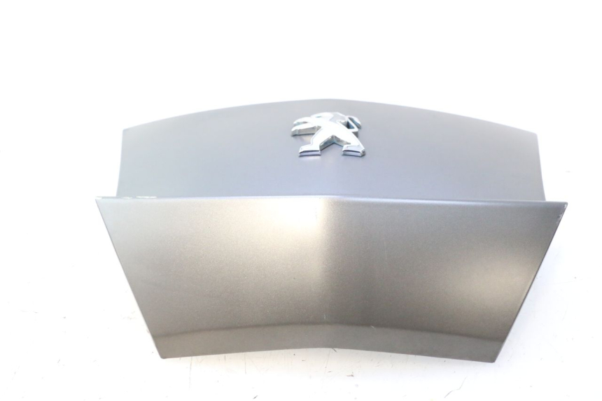 photo de REAR MIDDLE PANEL PEUGEOT CITYSTAR 2T 50 (2018 - 2021) - Zoom on usage condition