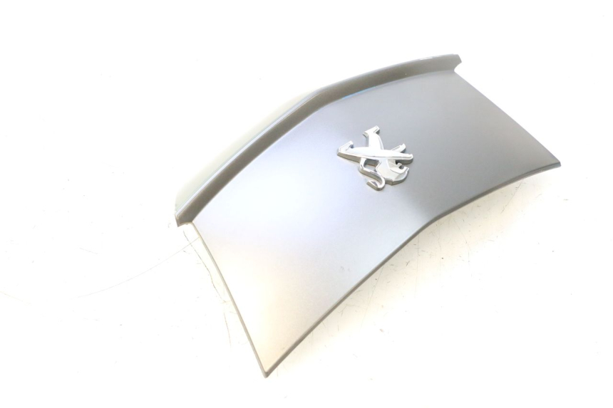photo de REAR MIDDLE PANEL PEUGEOT CITYSTAR 2T 50 (2018 - 2021) - Technical close-up
