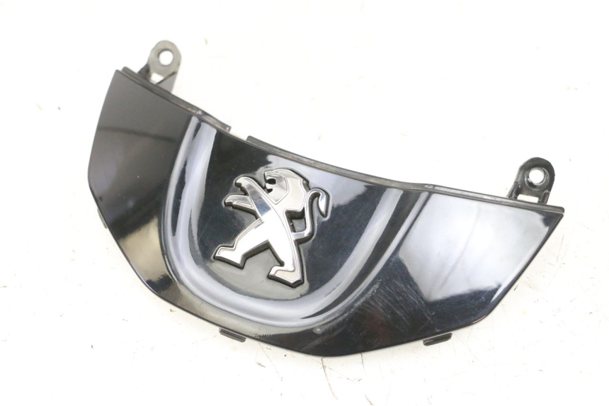 photo de REAR LOWER MIDDLE PANEL PEUGEOT TWEET PRO EFI 4T 50 (2021 - 2022) - Main view