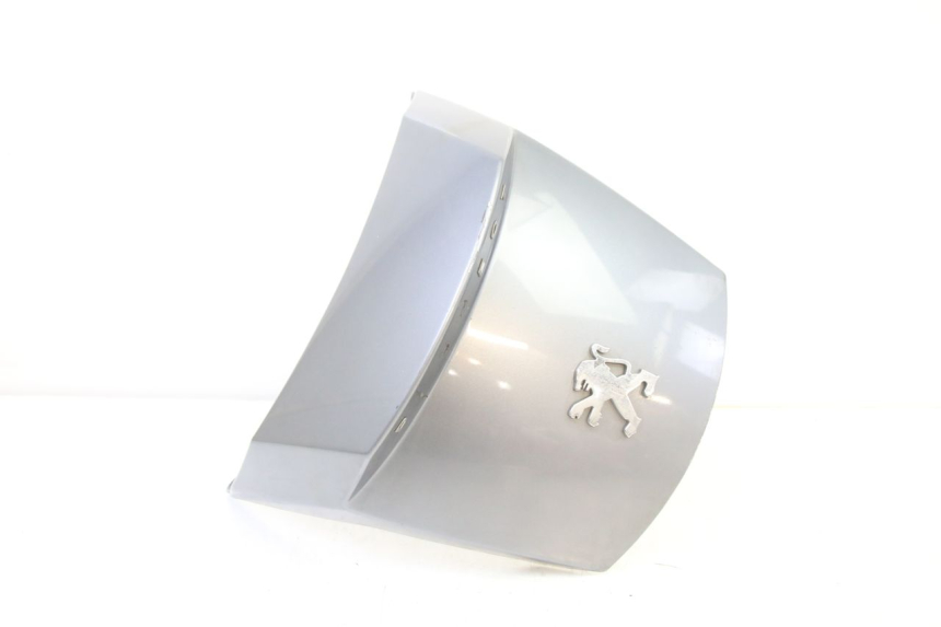 photo de REAR MIDDLE PANEL PEUGEOT SATELIS 250 (2006 - 2012) - Main view