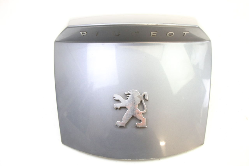 photo de REAR MIDDLE PANEL PEUGEOT SATELIS 250 (2006 - 2012) - Zoom on usage condition