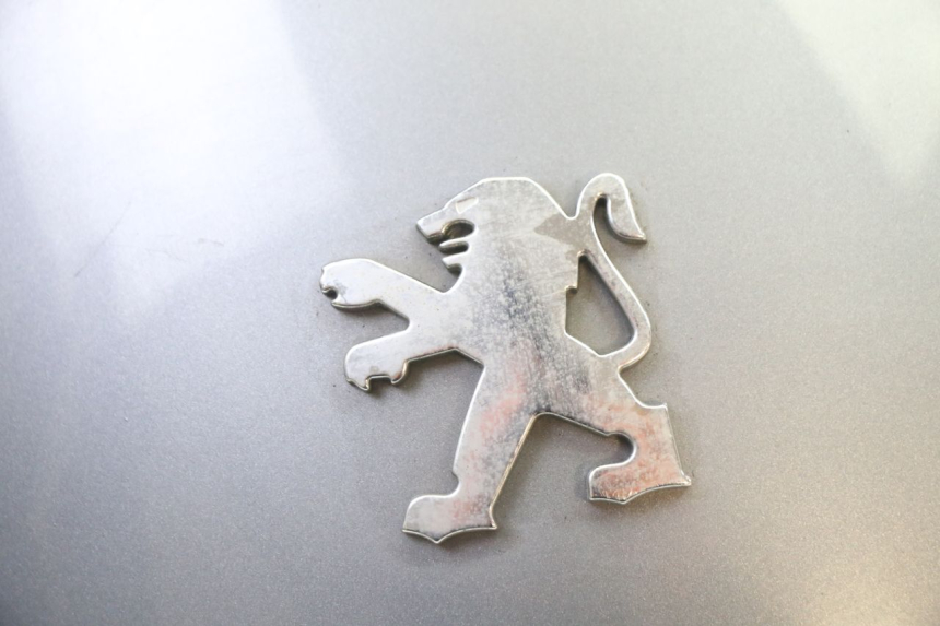 photo de REAR MIDDLE PANEL PEUGEOT SATELIS 250 (2006 - 2012) - Technical close-up