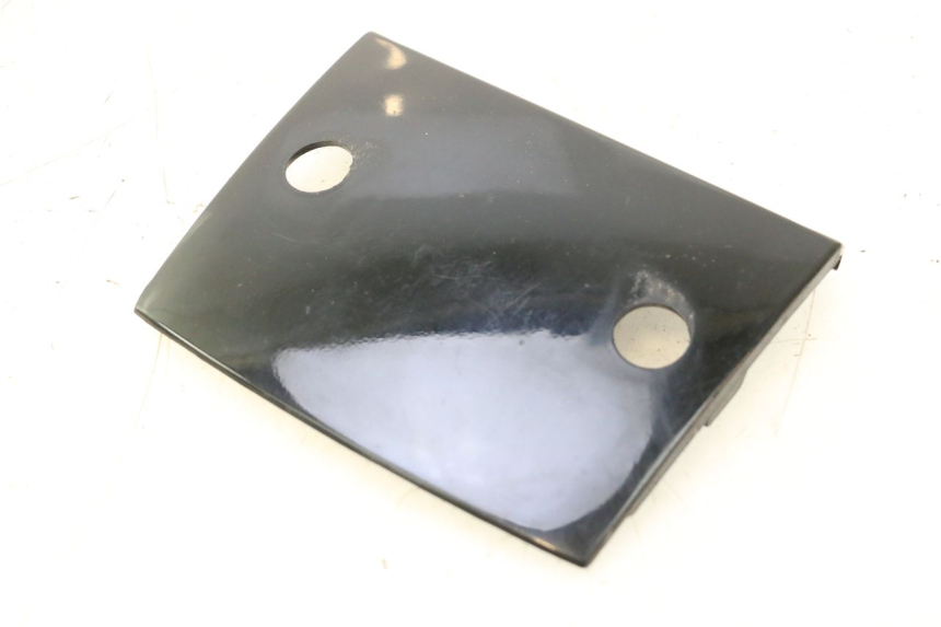 photo de REAR UPPER MIDDLE PANEL PIAGGIO TYPHOON 50 (2000 - 2009) - Main view