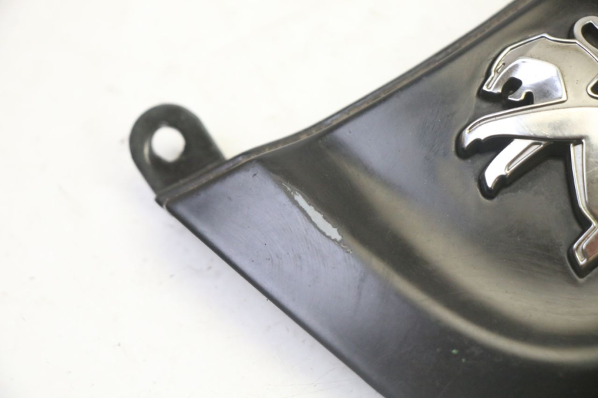 photo de FRONT MIDDLE PANEL PEUGEOT TWEET 4T 50 (2018 - 2022) - Component detail