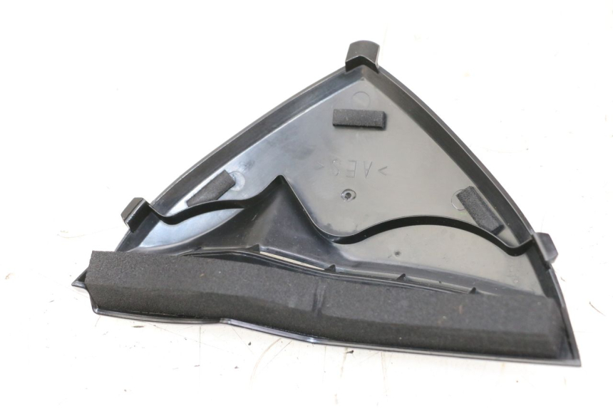 photo de FRONT MIDDLE PANEL  YAMAHA FZ1 FAZER 1000 (2007 - 2009) - Component detail