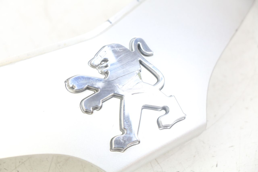 photo de FRONT FAIRING JUNCTION PEUGEOT TWEET 4T 50 (2010 - 2014) - Alternative perspective