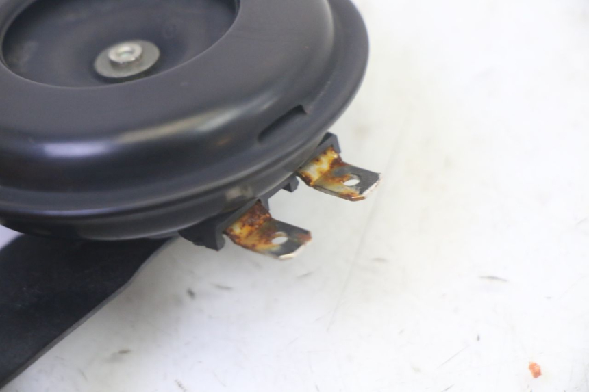 photo de HORN EFUN PUSA 1 - Technical close-up