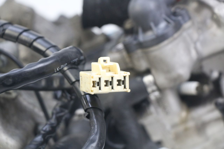 photo de ENGINE PIAGGIO BEVERLY 125 (2010 - 2015) - Checked used part