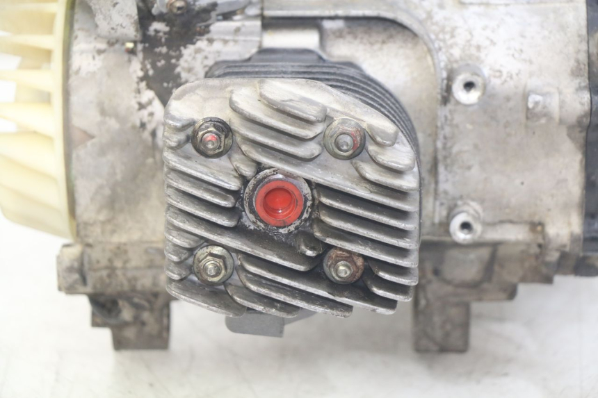 photo de ENGINE PGO BIG MAX 50 (2001 - 2009) - Focus on structure