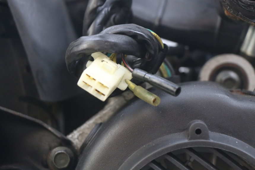 photo de ENGINE WILDLANDER BISCUIT 125 (2004 - 2010) - Distinctive features