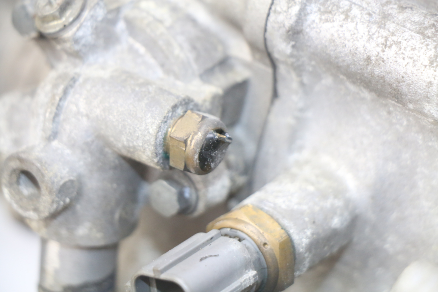 photo de ENGINE SUZUKI BURGMAN 125 (2007 - 2014) - Detailed visual inspection