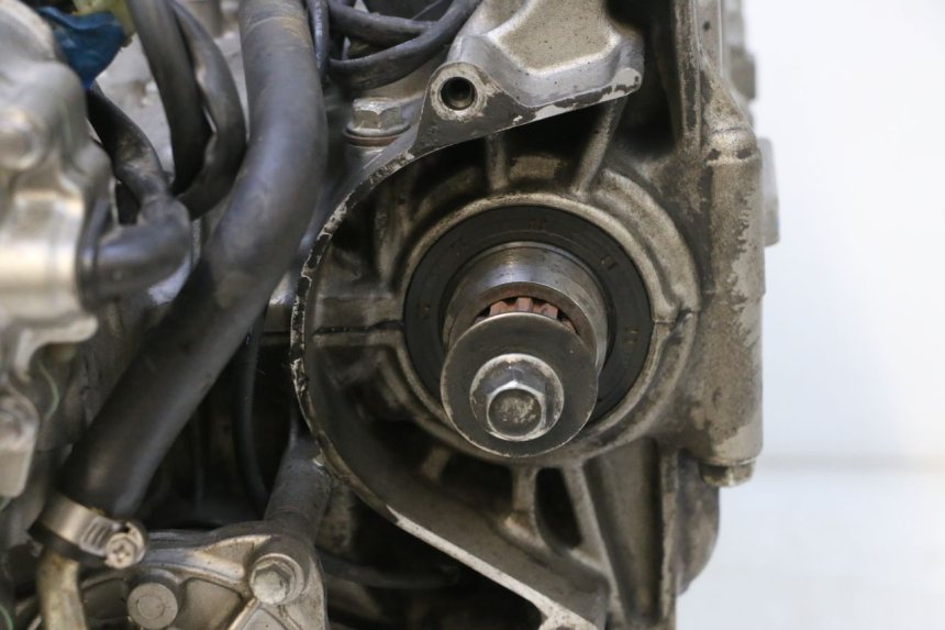 photo de ENGINE HONDA CB F HORNET 600 (2005 - 2006) - High-resolution close-up