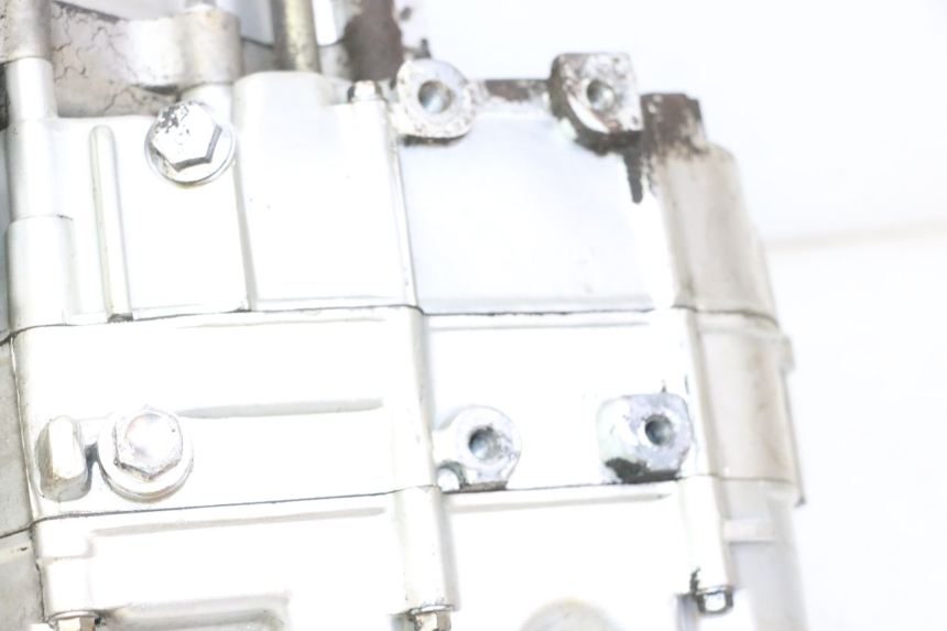 photo de ENGINE SKYTEAM DAX REPLICA 110 (2005 - 2015) - Focus on structure