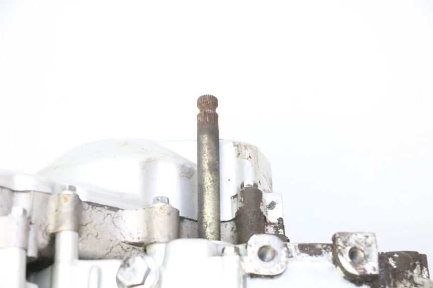 photo de ENGINE SKYTEAM DAX REPLICA 110 (2005 - 2015) - Used quality zoom