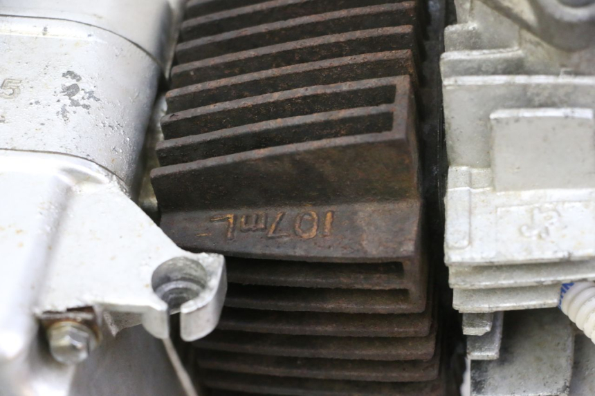 photo de ENGINE SKYTEAM DAX REPLICA 110 (2005 - 2015) - Zoom on usage condition