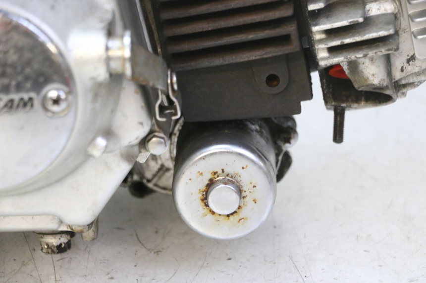 photo de ENGINE SKYTEAM DAX REPLICA 110 (2005 - 2015) - Technical close-up