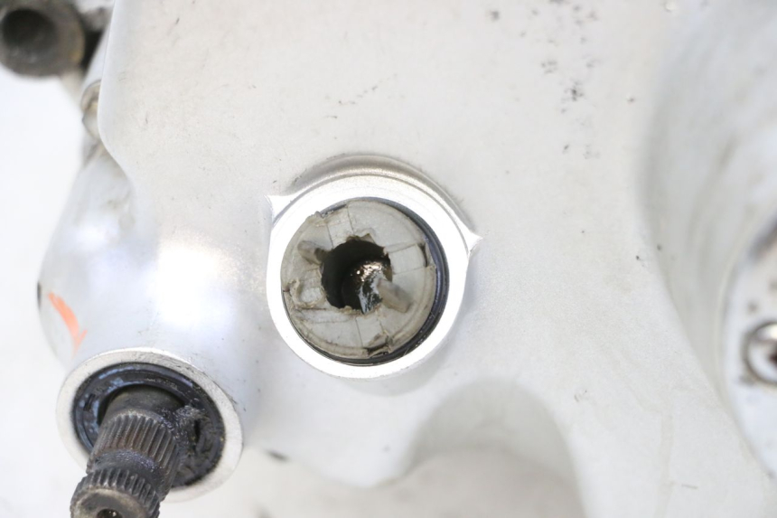 photo de ENGINE SKYTEAM DAX REPLICA 110 (2005 - 2015) - Surface and material condition