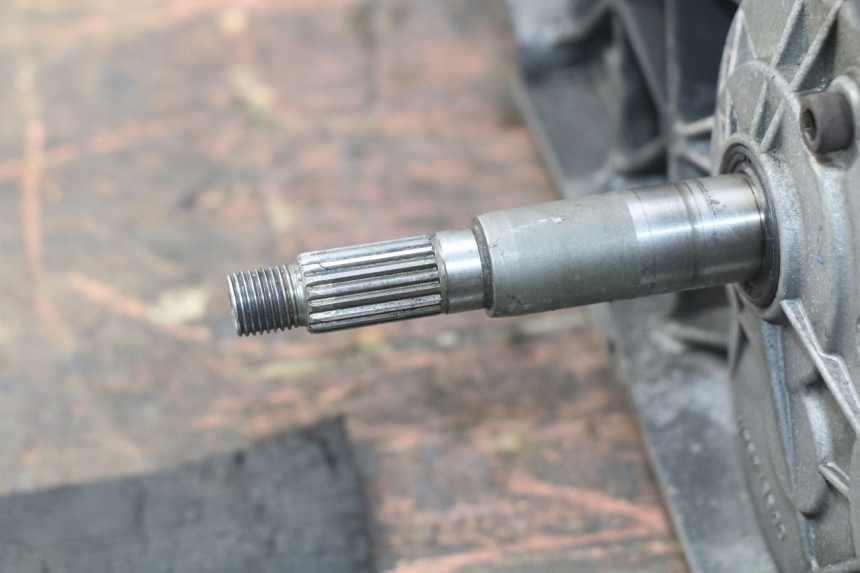 photo de ENGINE PEUGEOT ELYSTAR 125 (2002 - 2007) - High-resolution close-up