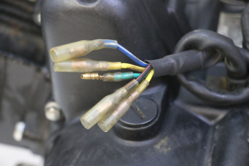 photo de ENGINE STAHO FH 50 (2018 - 2019) - Distinctive features