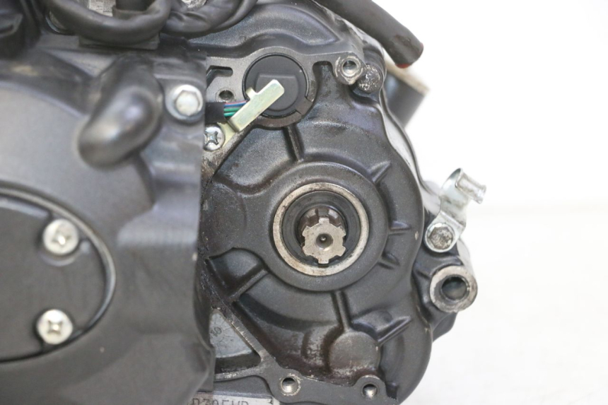 photo de ENGINE STAHO FH 50 (2018 - 2019) - High-resolution close-up