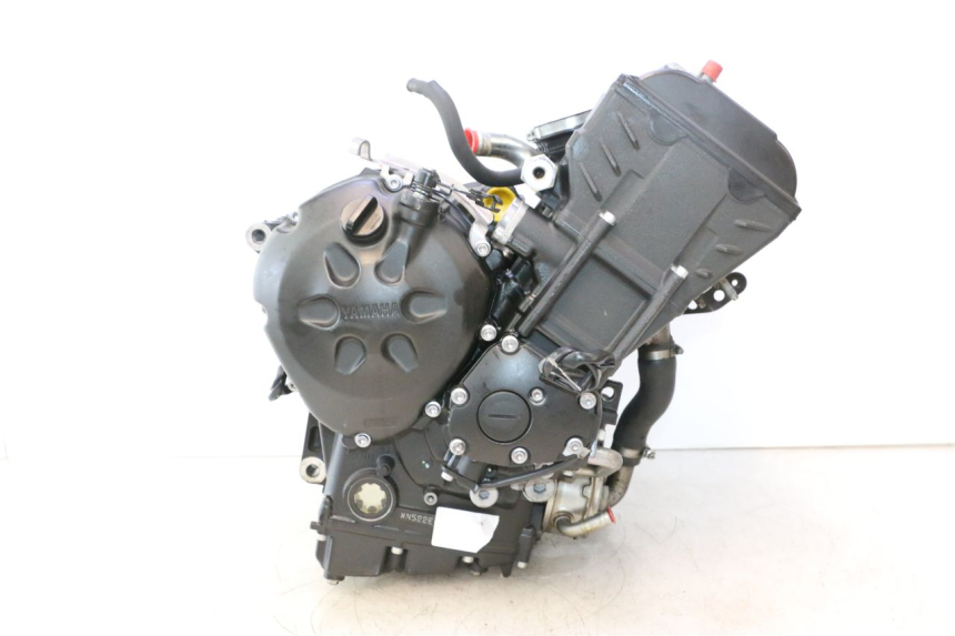 photo de ENGINE YAMAHA FZ8 800 (2010 - 2016) - Distinctive features