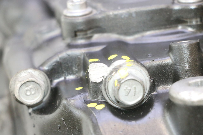 photo de ENGINE YAMAHA FZ8 800 (2010 - 2016) - Surface and material condition