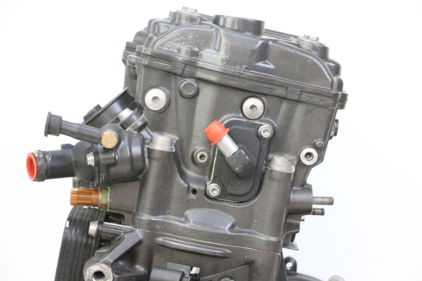 photo de ENGINE BMW G310 R 310 (2016 - 2020) - Distinctive features