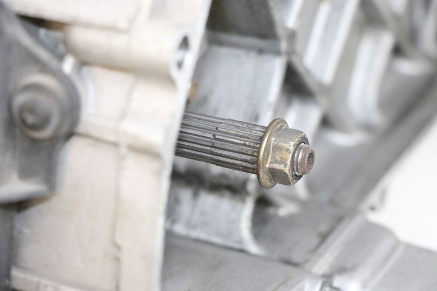 photo de ENGINE PIAGGIO LIBERTY 4T 50 (2018 - 2021) - Distinctive features