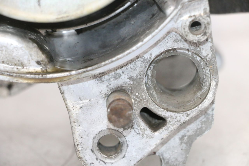 photo de ENGINE PEUGEOT LUDIX PRO 2T 50 (2010 - 2017) - Main view