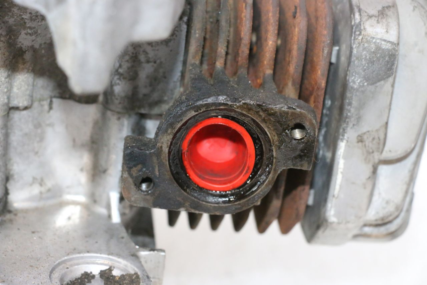 photo de ENGINE PEUGEOT LUDIX PRO 2T 50 (2010 - 2017) - Surface and material condition