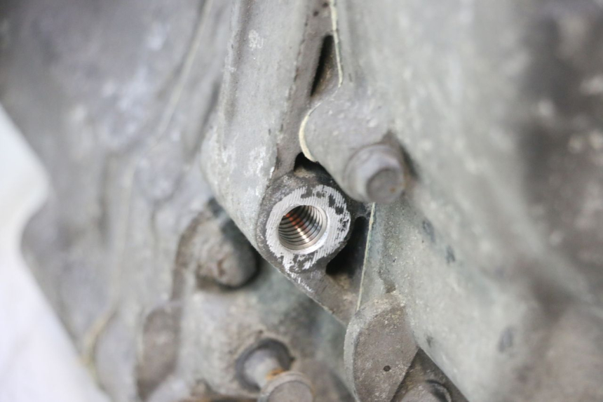 photo de ENGINE PIAGGIO MP3 RL 250 (2006 - 2010) - Checked used part