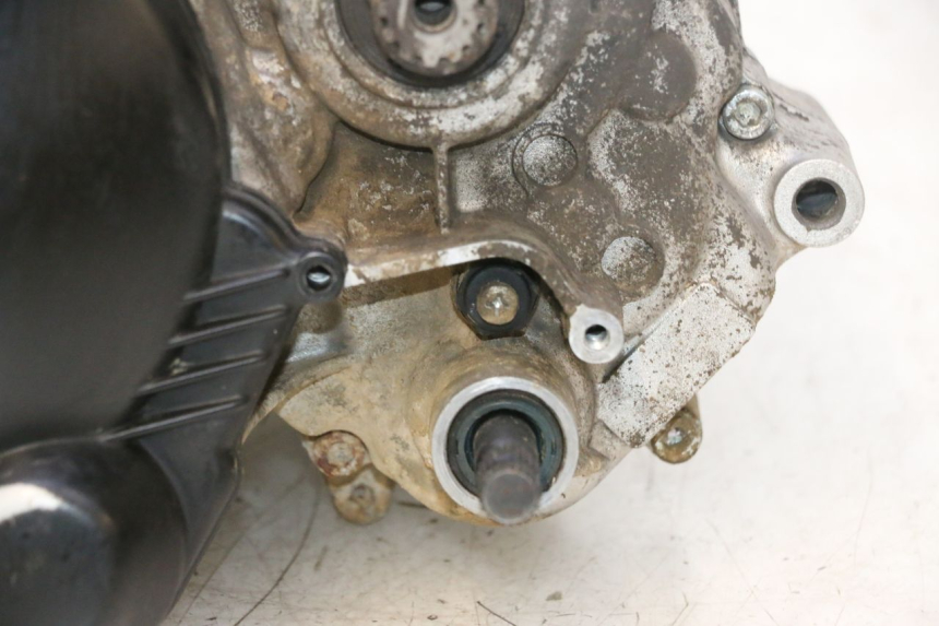 photo de ENGINE RIEJU MRT PRO SUPERMOTARD 50 (2007 - 2018) - Technical close-up