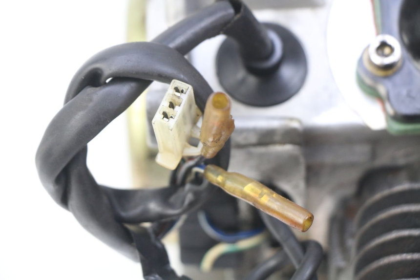 photo de ENGINE IMF INDUSTRIE PACH 2T 50 (2009 - 2018) - High-resolution close-up