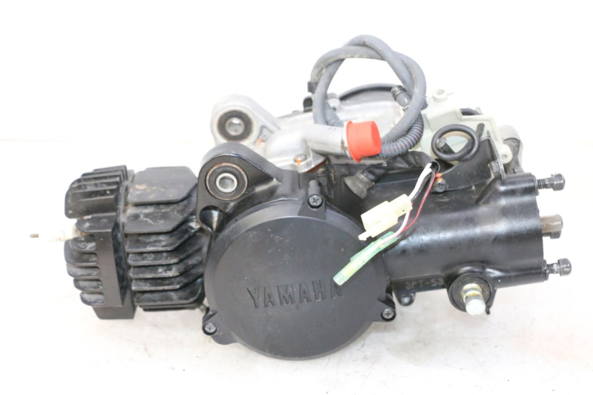 photo de ENGINE YAMAHA PW 50 (1984 - 2025) - Main view