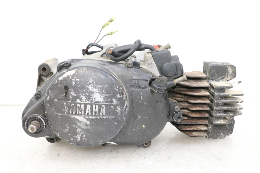 photo de ENGINE YAMAHA PW 80 (1983 - 2014) - Main view