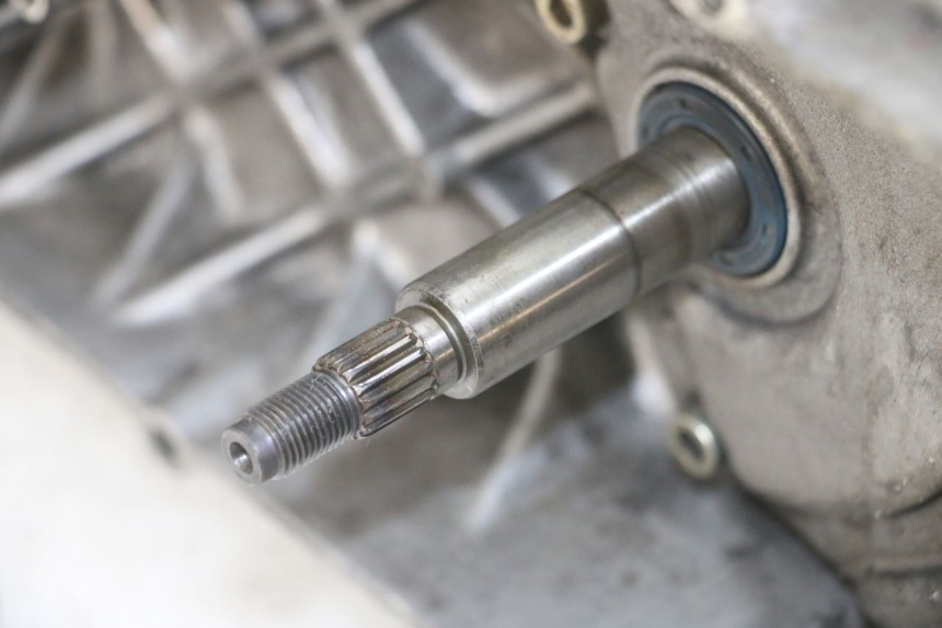 photo de ENGINE APRILIA RALLY AC 50 (1995 - 2004) - Markings and original references