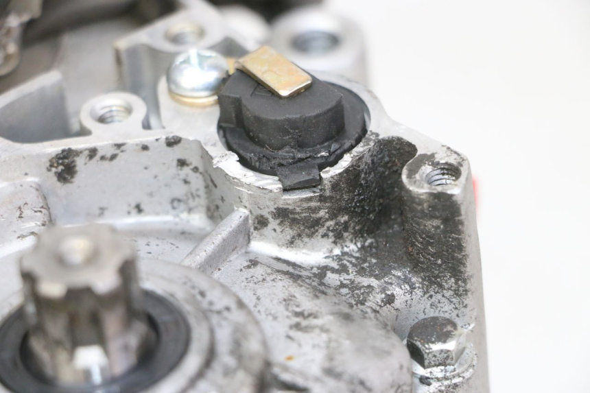 photo de ENGINE APOLLO RFZ 125 - Technical close-up