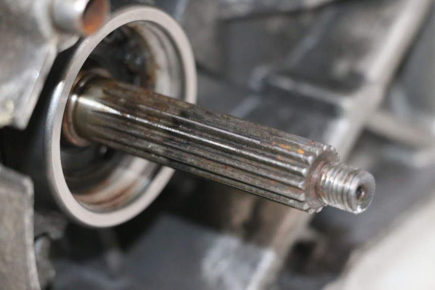 photo de ENGINE TNT MOTOR ROMA 10' 2T 50 (2011 - 2018) - Distinctive features