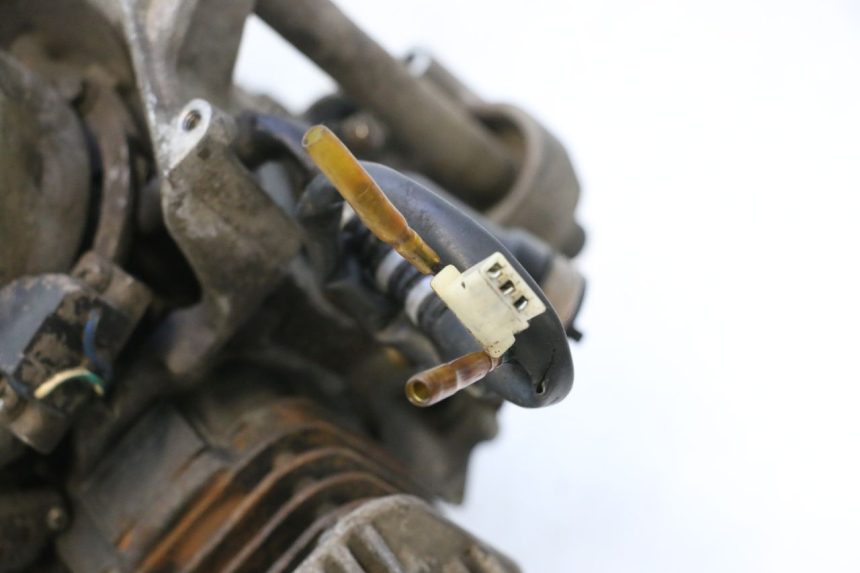 photo de ENGINE TNT MOTOR ROMA 10' 2T 50 (2011 - 2018) - Technical close-up
