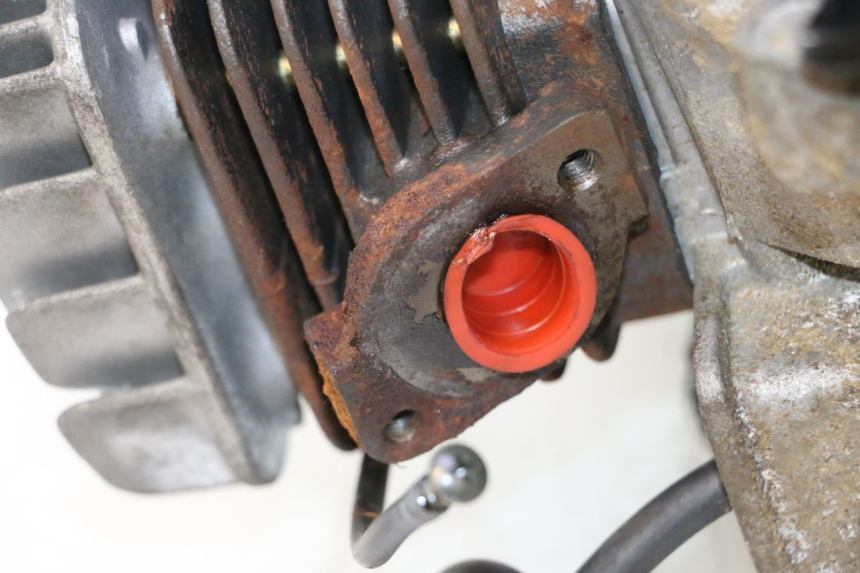 photo de ENGINE TNT MOTOR ROMA 12' 2T 50 (2007 - 2018) - Component detail